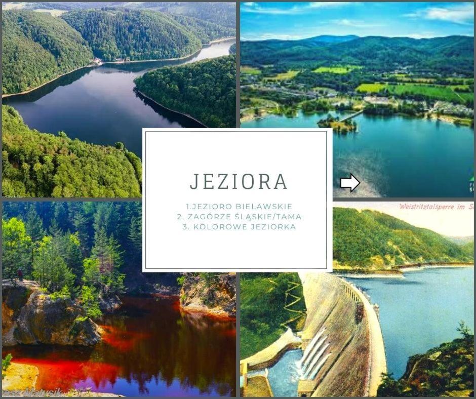 Słoneczny apartament blisko jeziora i gór Bielawa (Dzierzoniow) Exterior foto